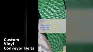 Niestandardowe rozwiązania w zakresie przenośników winylowych